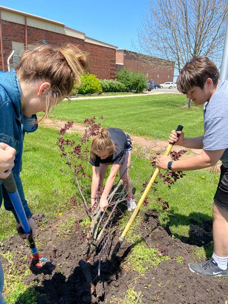 Students landscaping