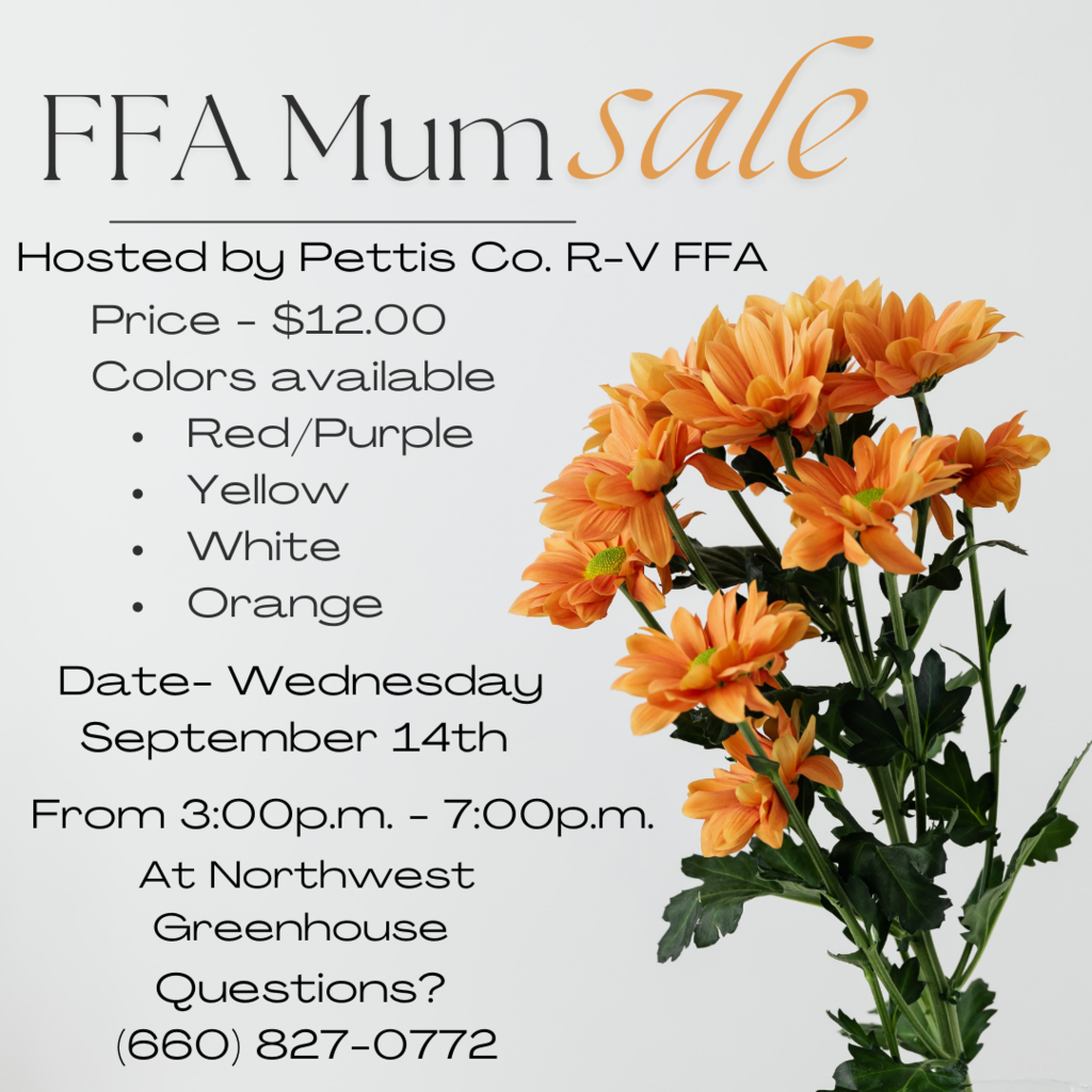 FFA Mum sale 9-14-22 from 3:00-7:00